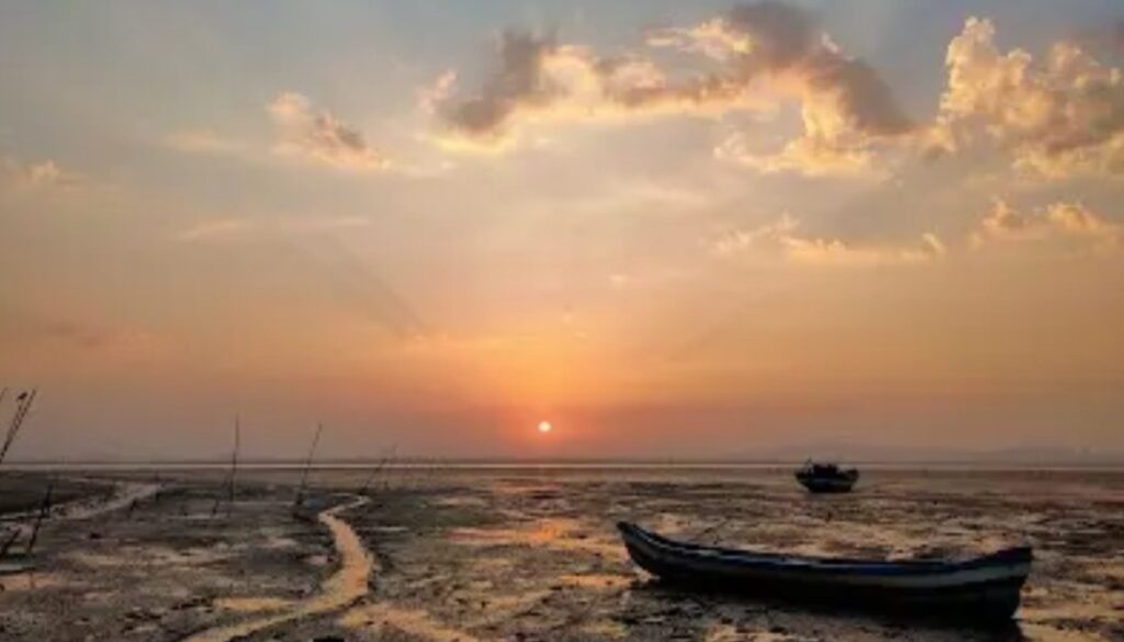 Mini Seashore, Vashi