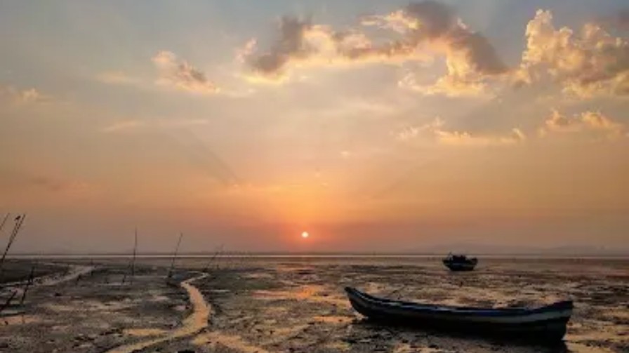 Mini Seashore, Vashi