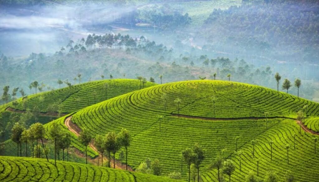 Munnar