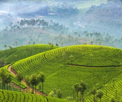 Munnar Munnar