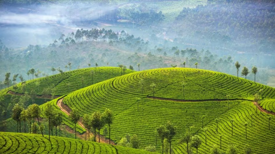 Munnar