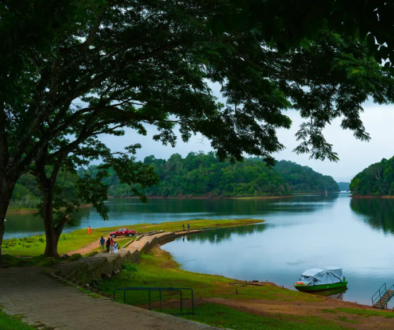 Thekkady Thekkady