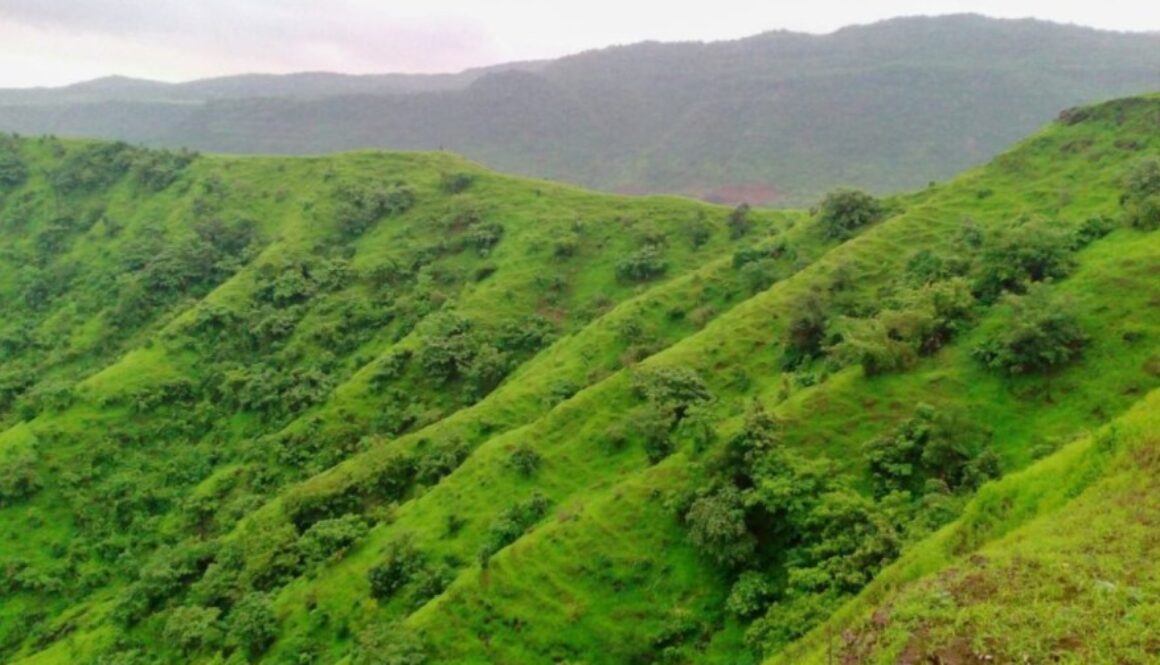 Kharghar Hills