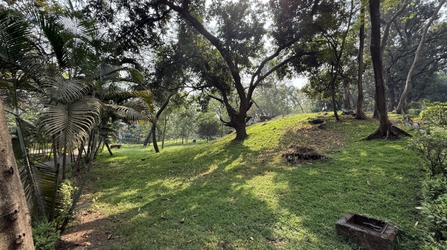 Mango Garden, Belapur