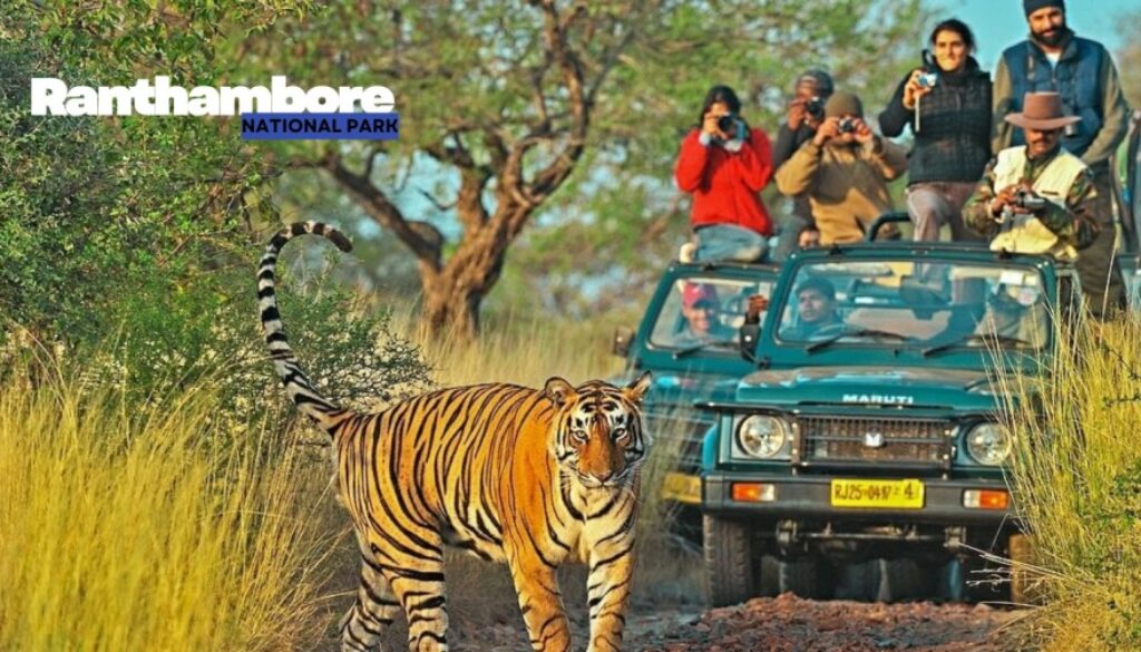 Ranthambore National Park