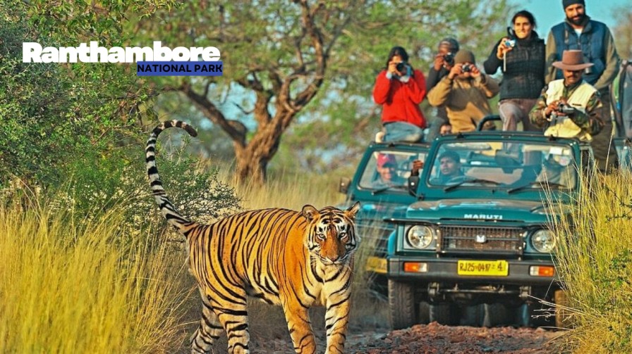 Ranthambore National Park